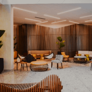 1xBet Promo Code Terms and Conditions