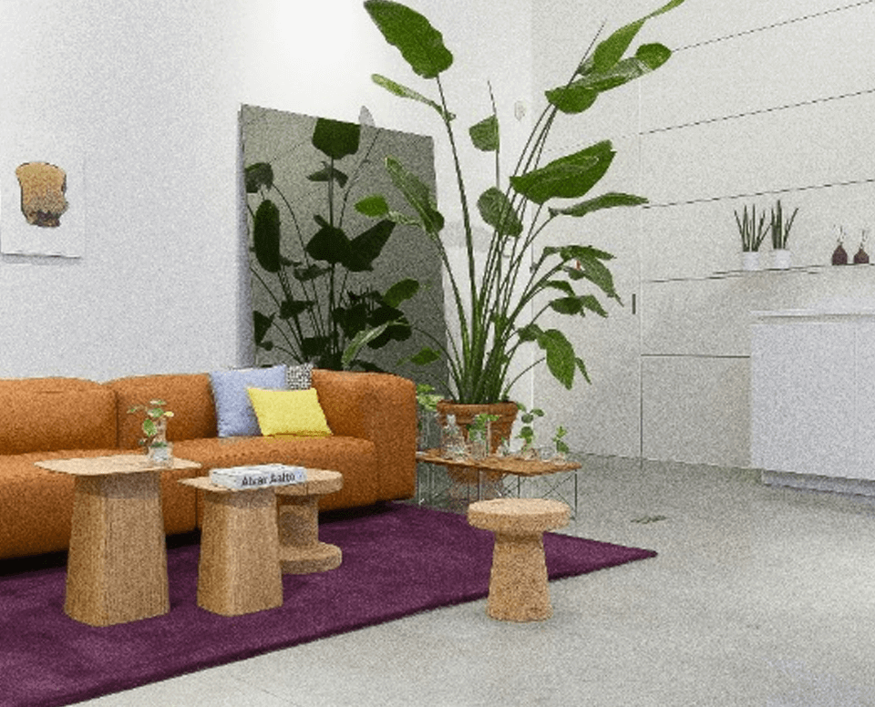 Sports Bonus – Up to $130